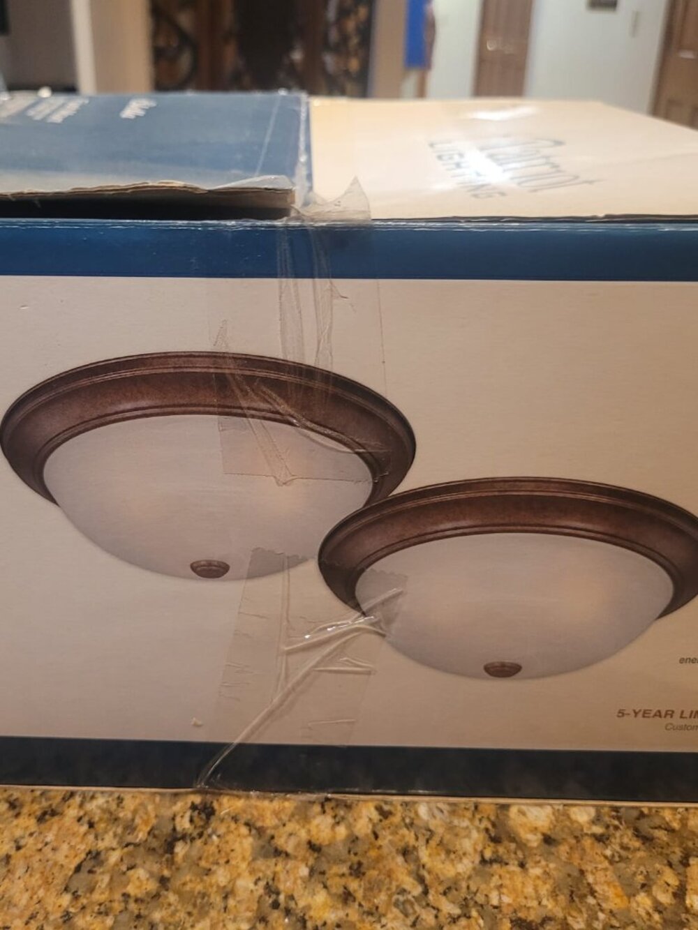 Patriot Flush Mount set of 2  15" in diameter